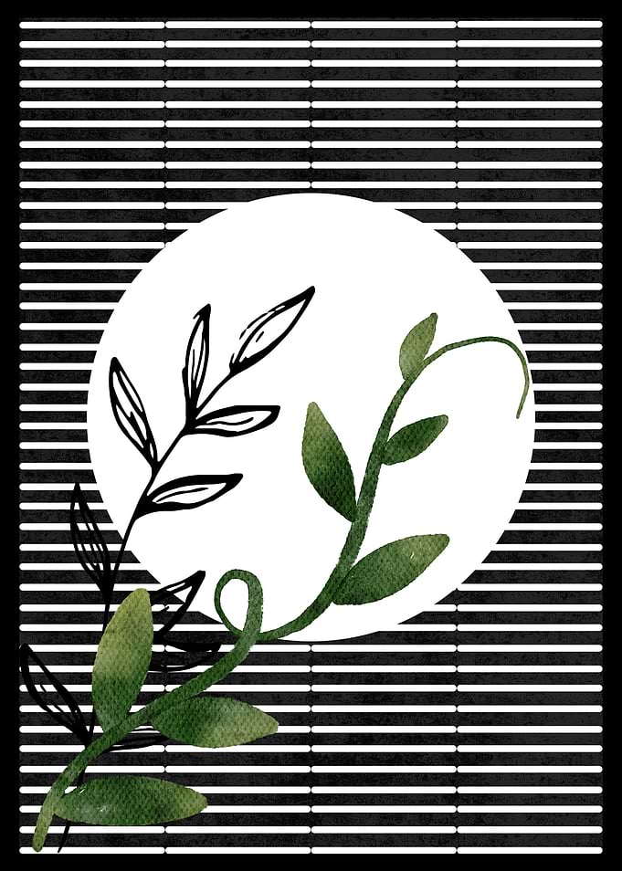 Black and White Stripes with Green Vines