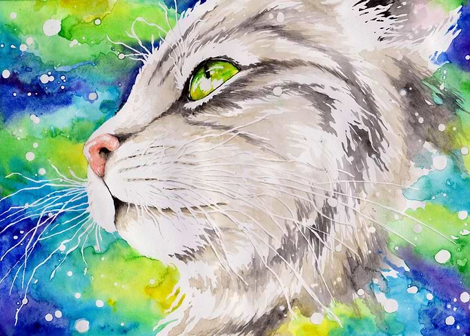 Silver Cat