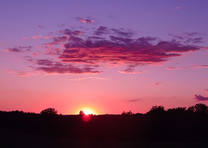 Pink Sunset Landscape