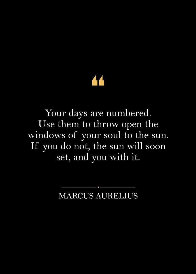Marcus Aurelius Quote 8