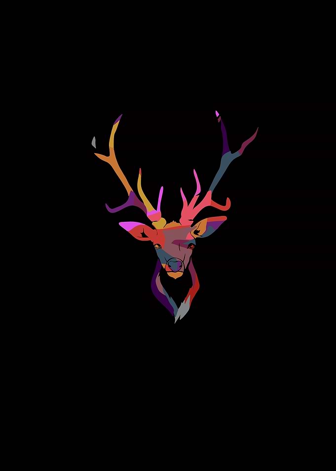 Colorful Deer Head
