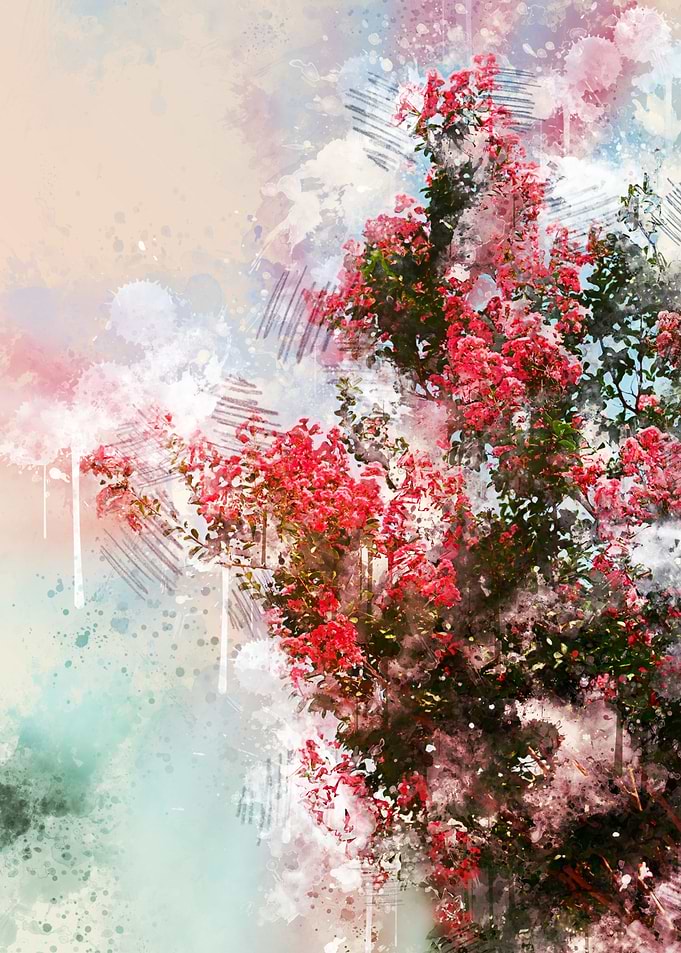 Pink Flowers tree rough sketch watercolor painting