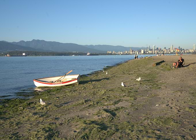 Beach with Boat and City Skyline