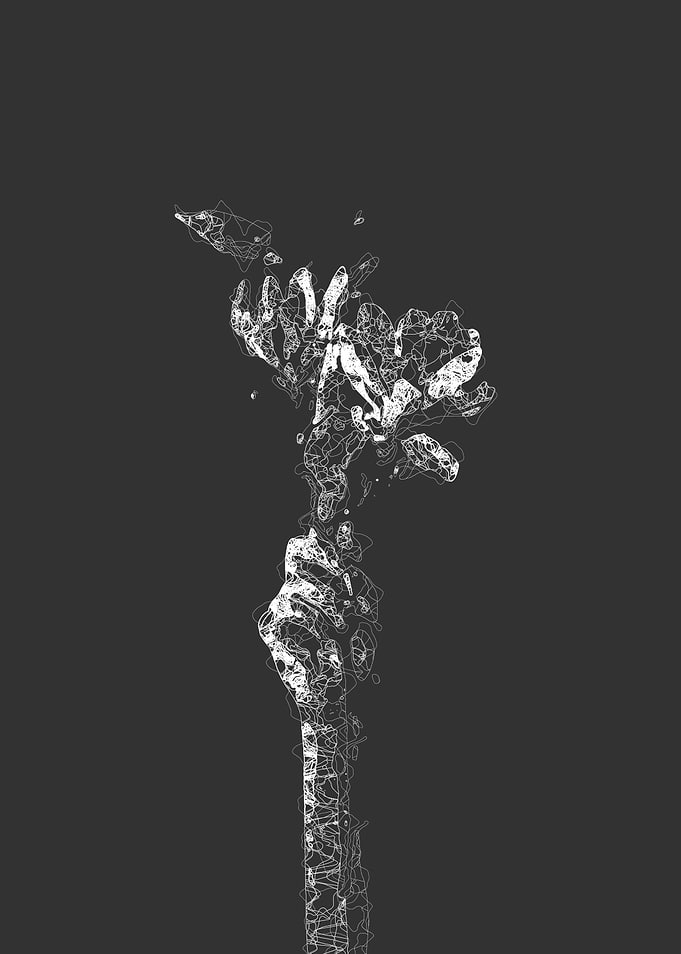 Hand holding flowers abstract line art