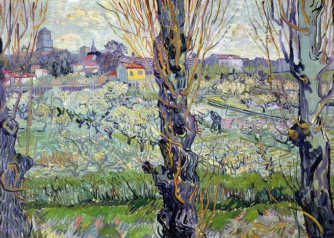 Orchard in Bloom