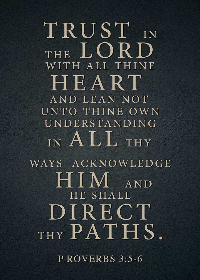 Bible Verse Proverbs 3:5-6
