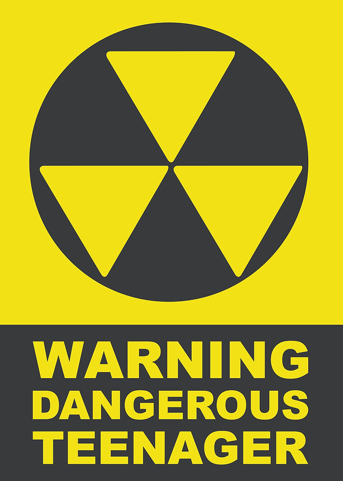Warning: Dangerous Teenager
