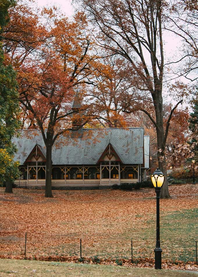 Autumn Central Park Scene