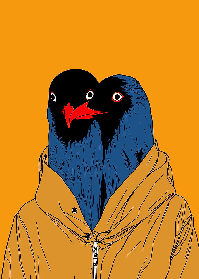 Two Birds in a Hoodie