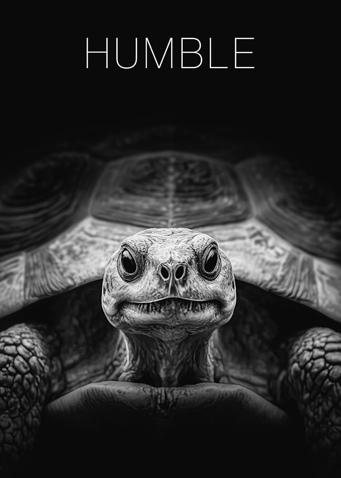 Humble Turtle Portrait