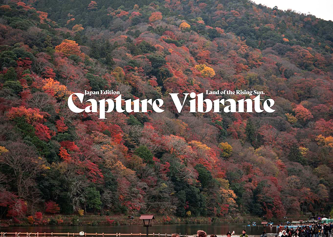 Japan Autumn Landscape