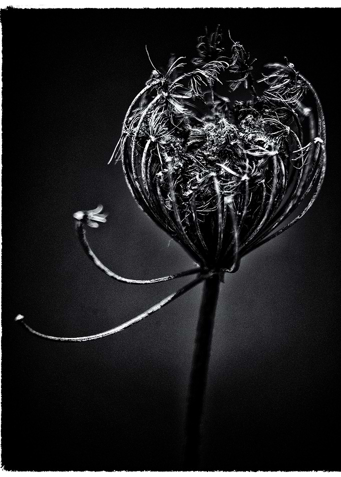 Fading Memory