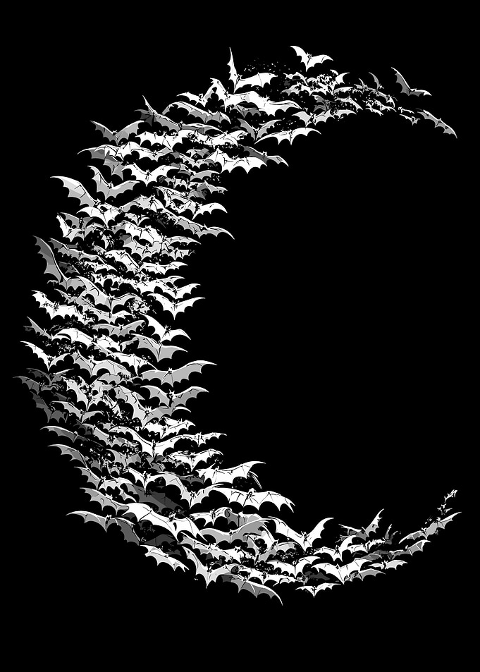 Bats Forming Crescent Moon