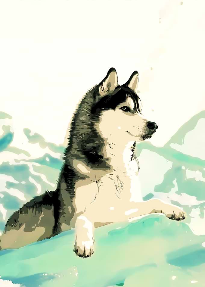 Husky Watercolor Art