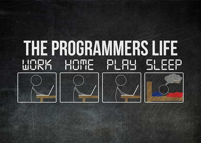 Programmer's Life Cycle Meme