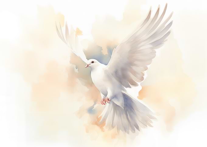 The Holy Spirit - White Dove