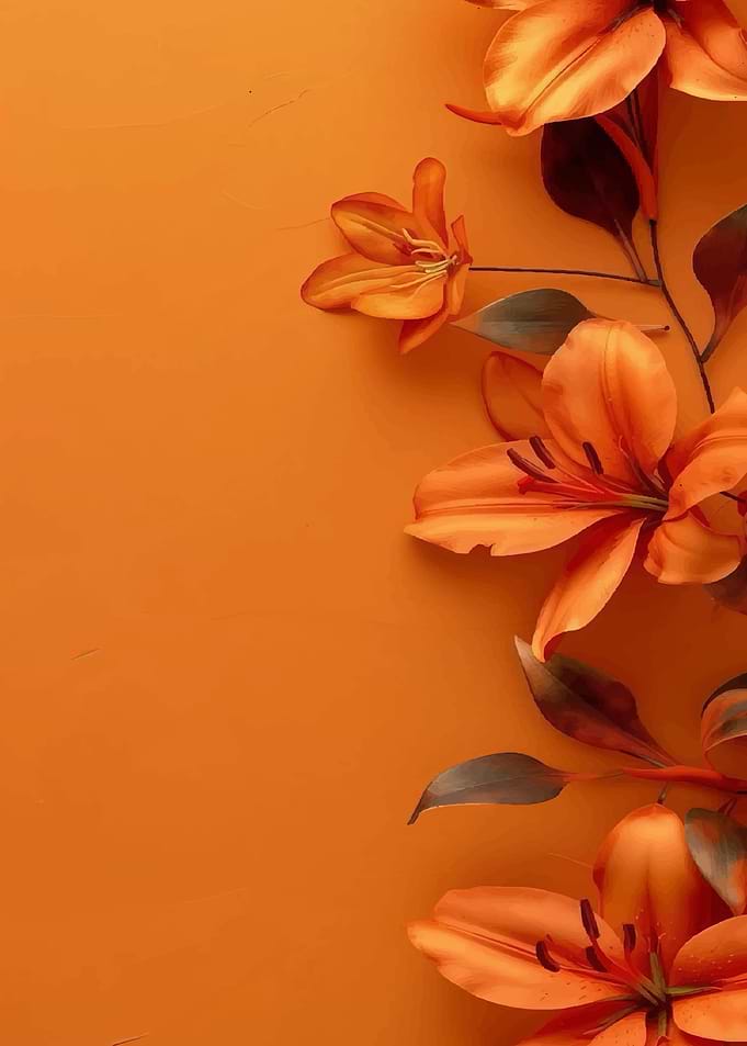 Orange Lily Flowers
