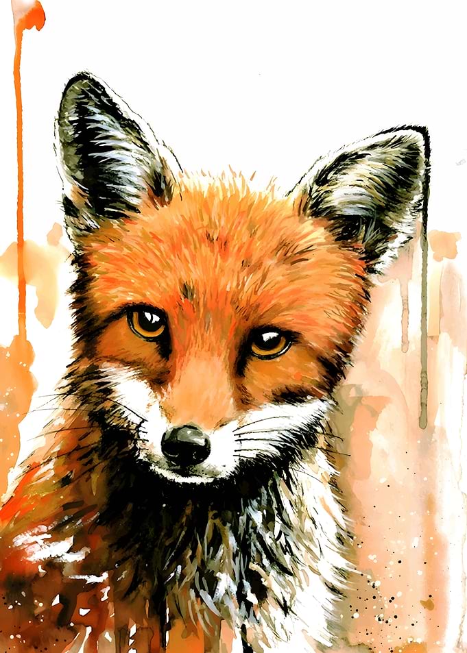 Watercolor Fox Portrait