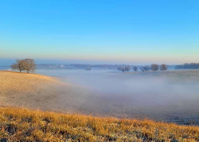 Misty Field Landscape