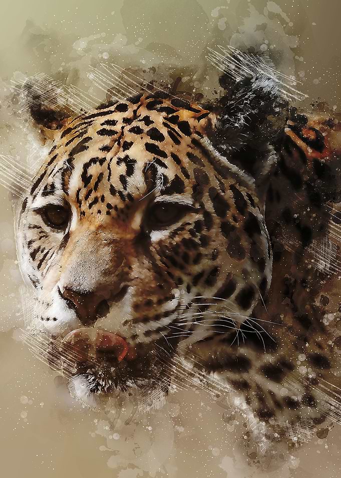 Jaguar face Watercolor painting