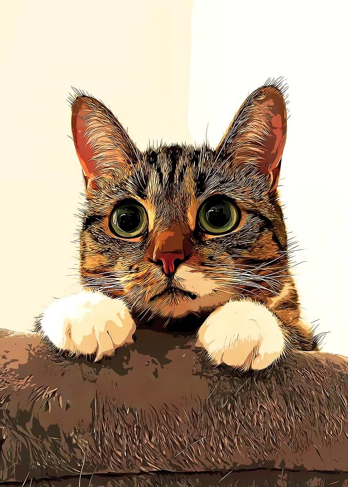 Curious Cat Portrait