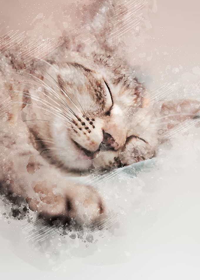 adorable Sleeping Cat Watercolor & oil painting