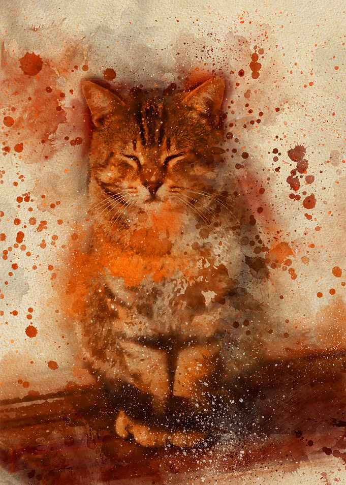 adorable kitten sleeping on table watercolor painting