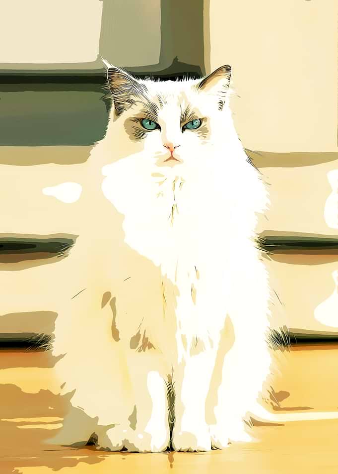 White Cat with Blue Eyes