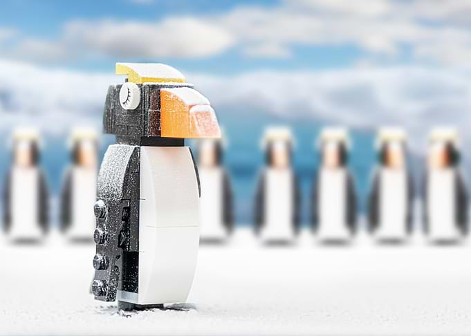 The Brave Penguin