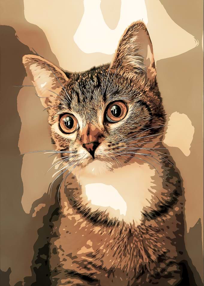 Cute Cat Portrait