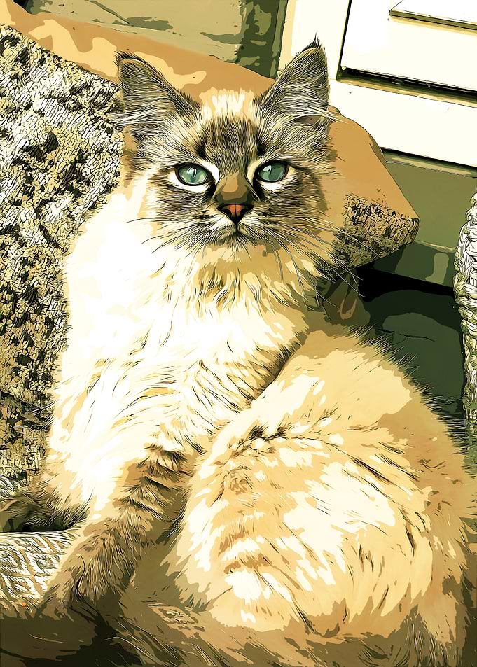 Cat Portrait in Sepia Tones