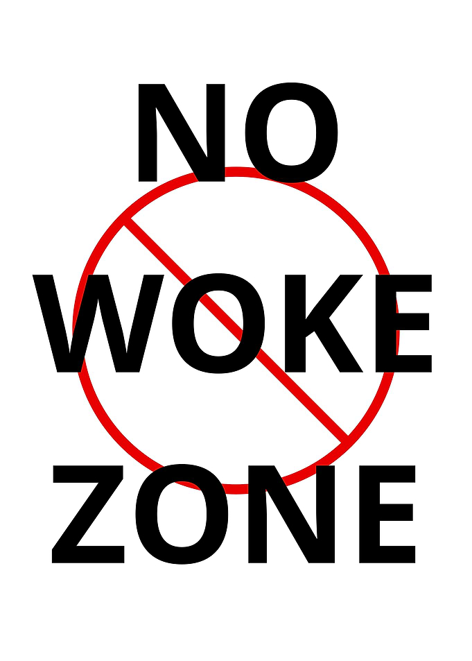 No Woke Zone Sign