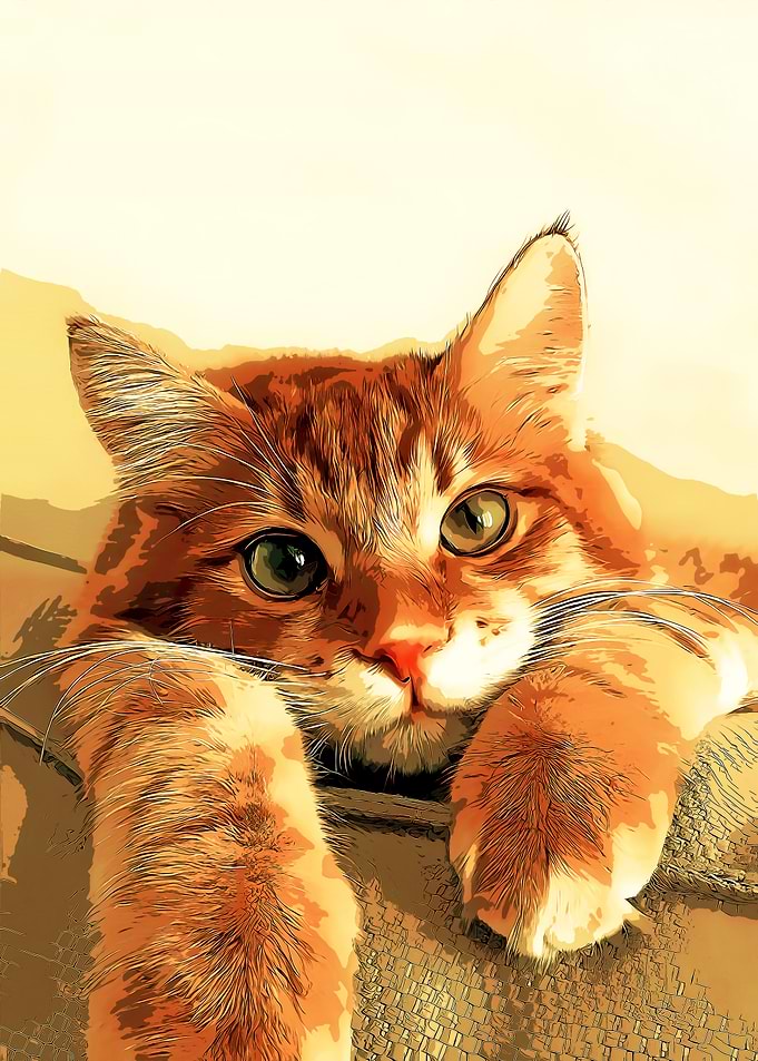 Orange Tabby Cat Portrait