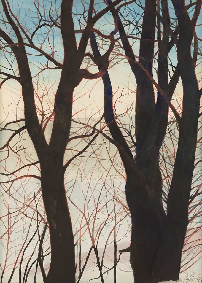 Silhouetted Trees