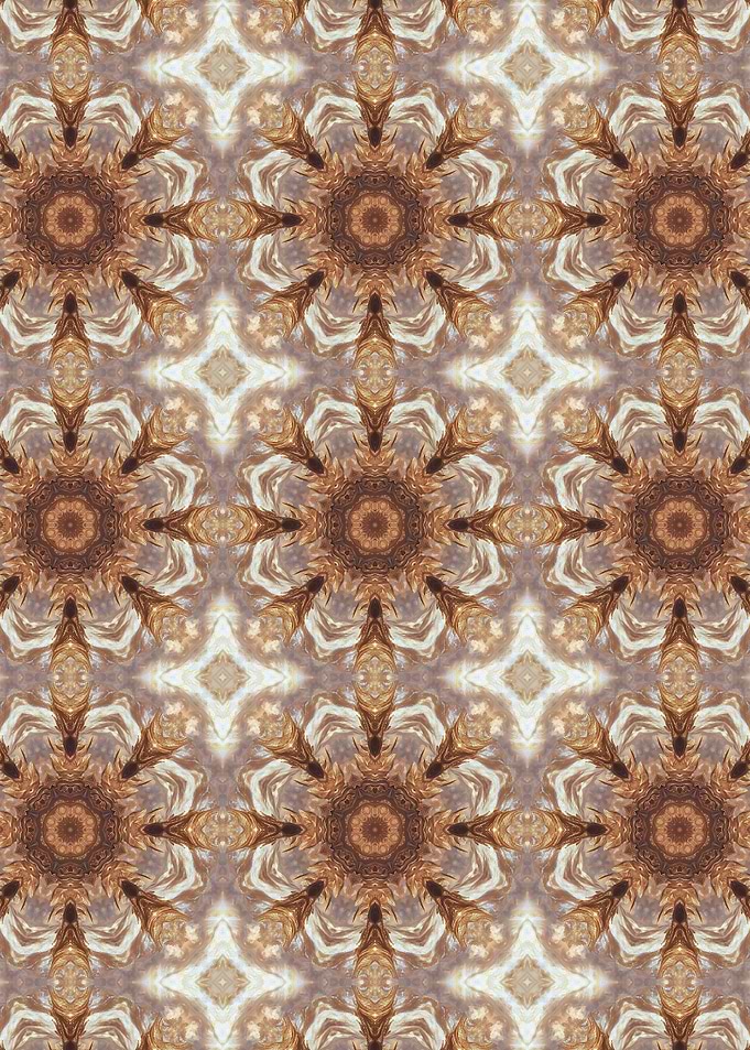 Brown and White Kaleidoscope Pattern