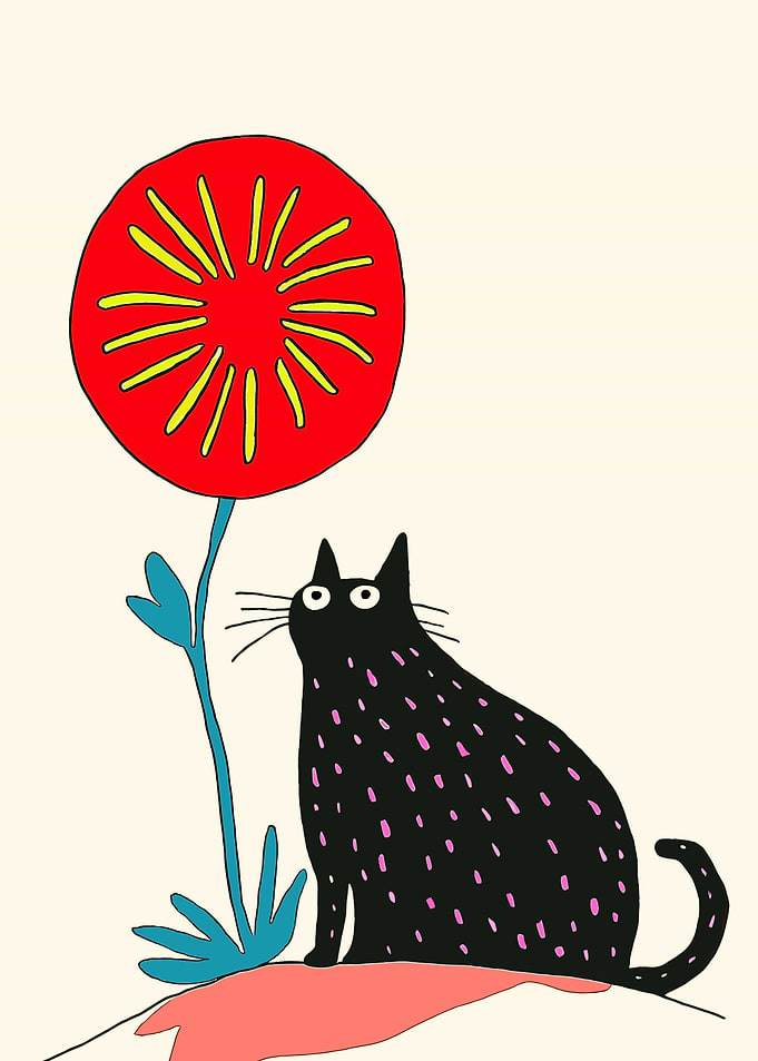 Black Cat and Red Flower