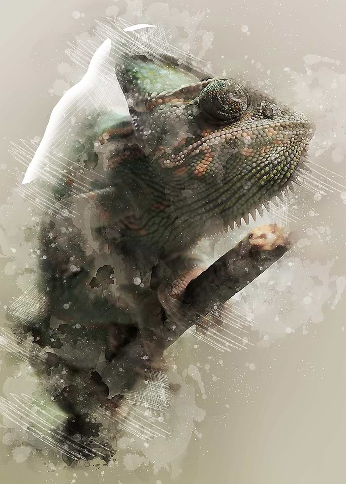 Chameleon Watercolor Art