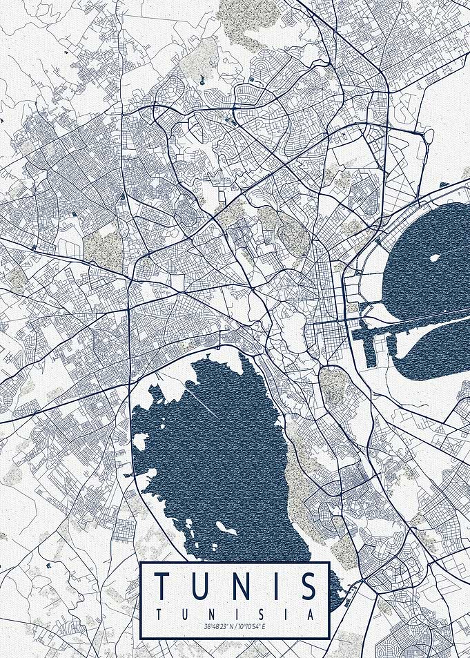 Tunis City Map Tunisia Coastal