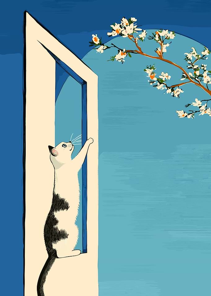 Curious Cat by Window