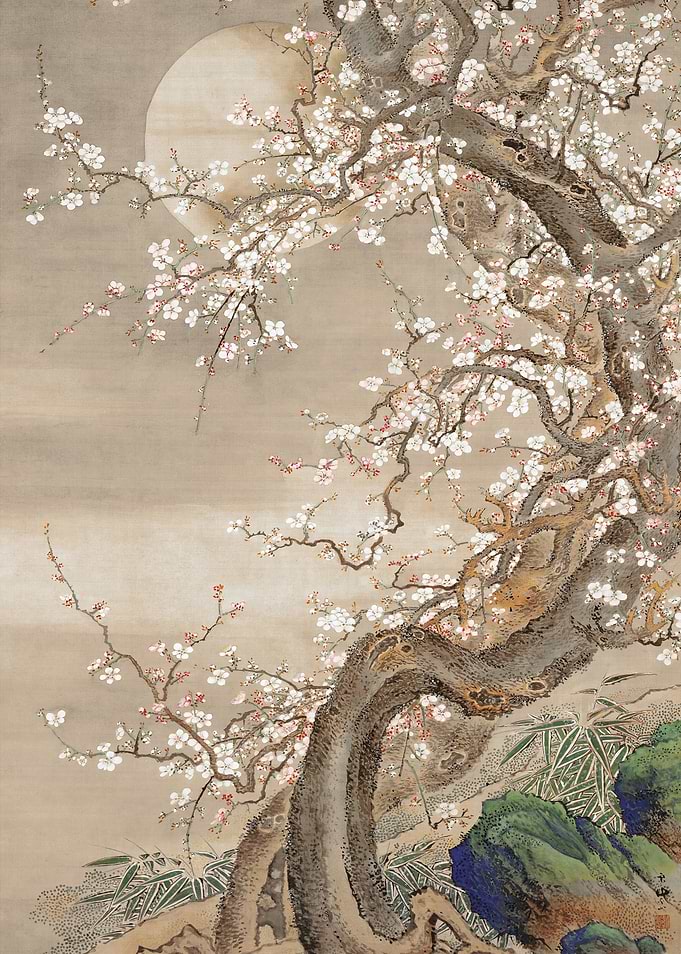 Cherry Blossom Moon
