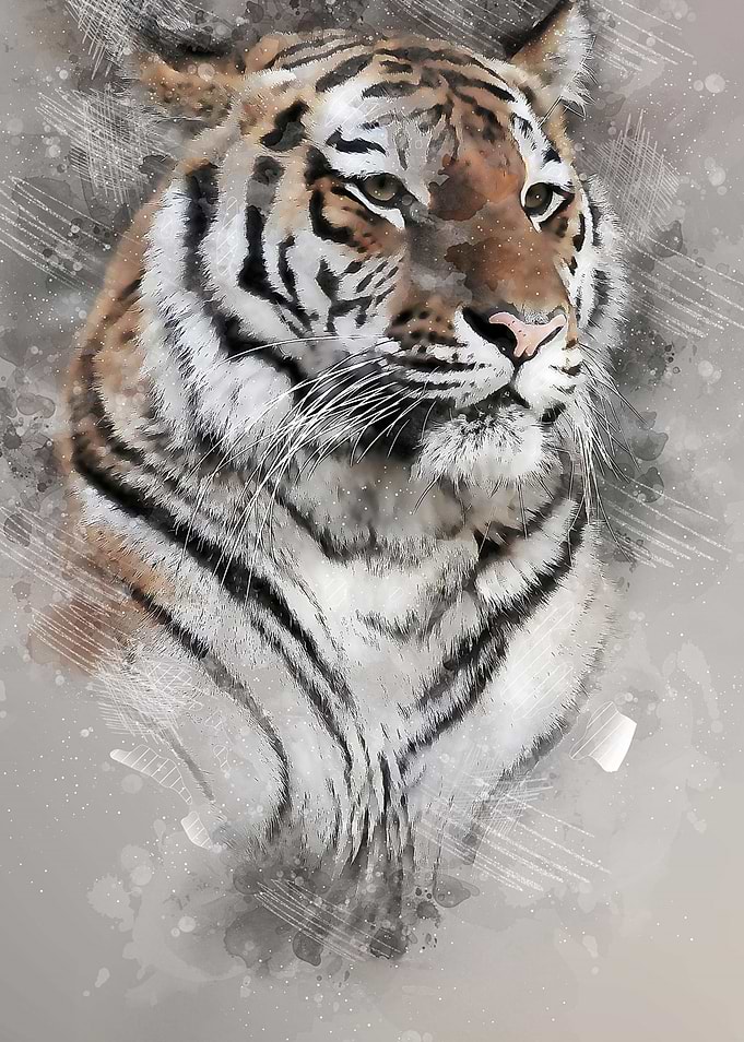 Tiger Watercolor Portrait watercolor painting