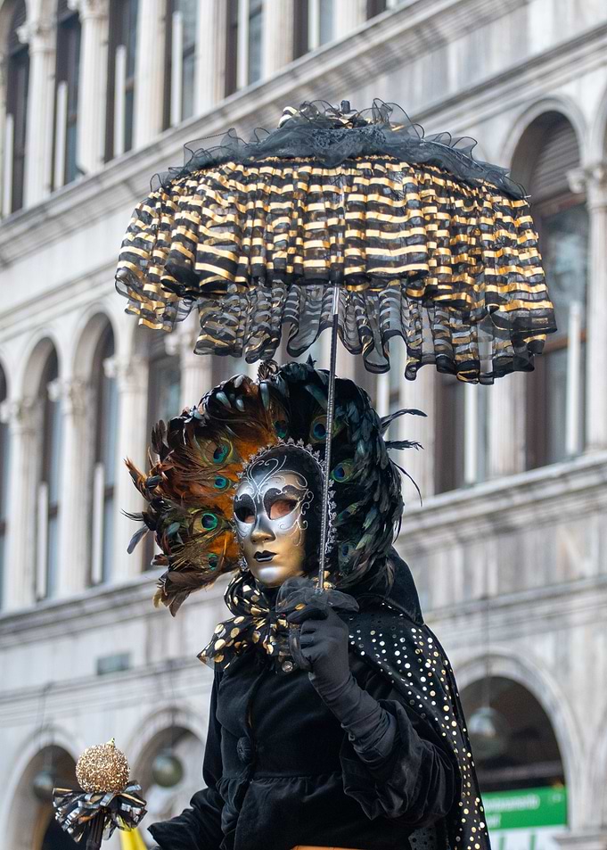 Venetian Carnival Mask