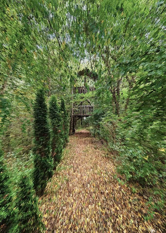 Treehouse Path
