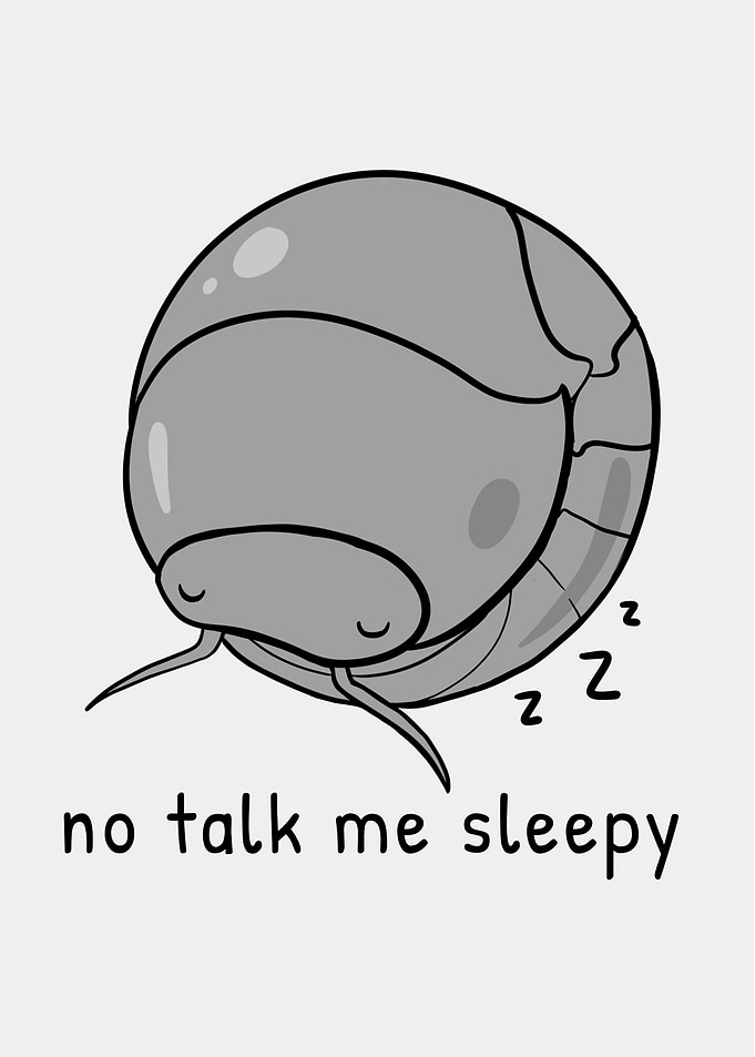 Sleepy Pill Bug