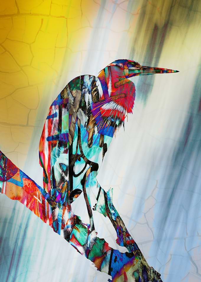 Graffiti Bird