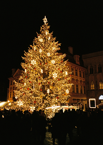 Christmas Tree at Night