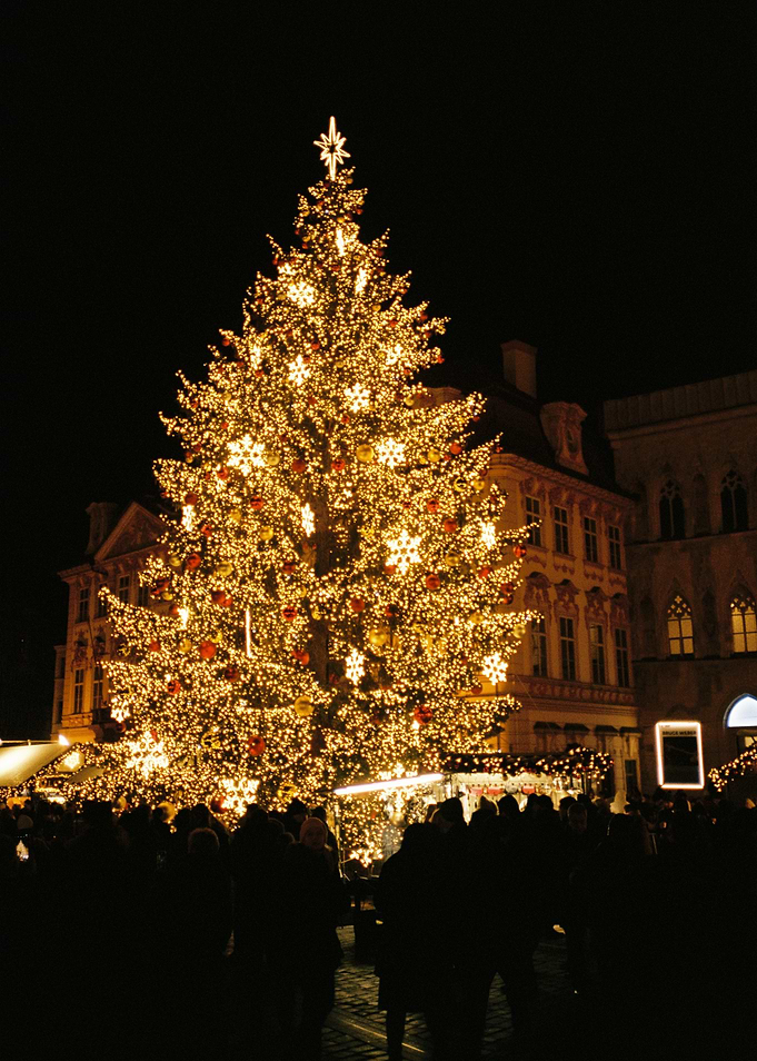 Christmas Tree at Night