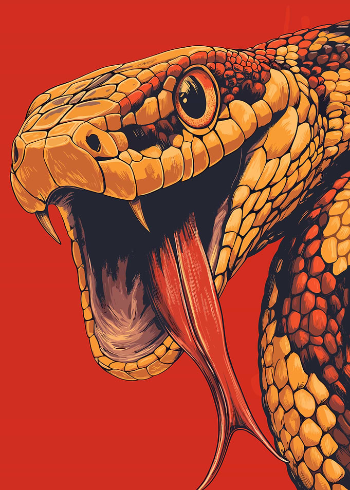Rattlesnake Illustration