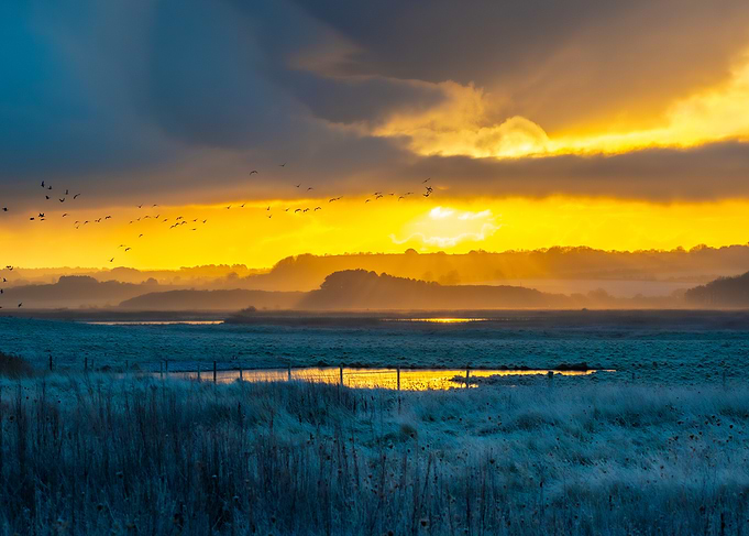 Golden Sunrise