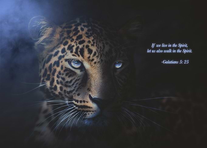 In The Spirit Christian Faith Bible Verse Leopard Wildlife Portrait